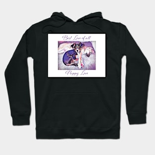 Best love puppy love Hoodie